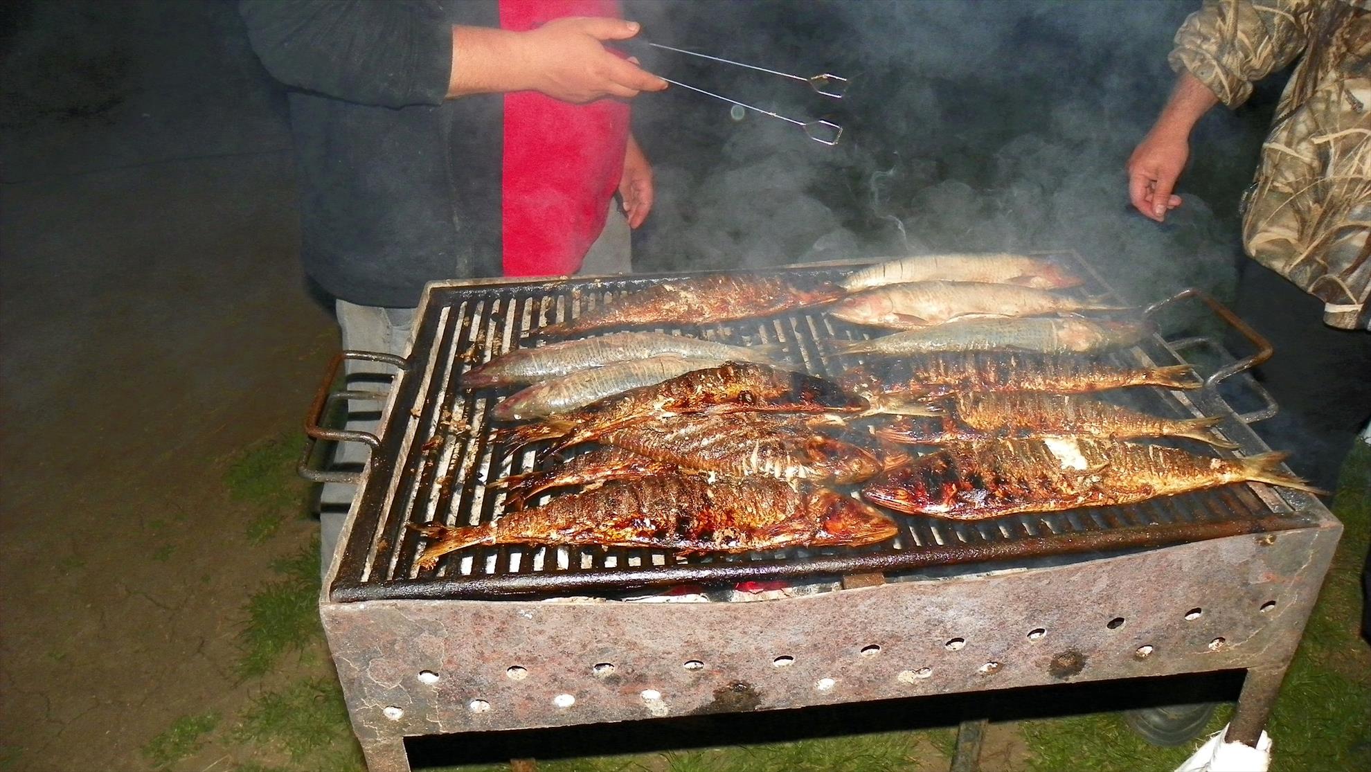 Party Cup 2011 (2)  - 1000195.jpg